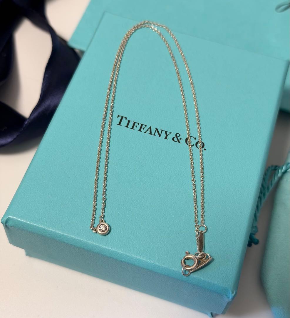 Tiffany & Co. ティファニー バイザヤード ネックレス 付属品付き