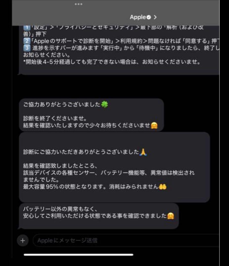 iPad mini 第6世代 バッテリー容量95%