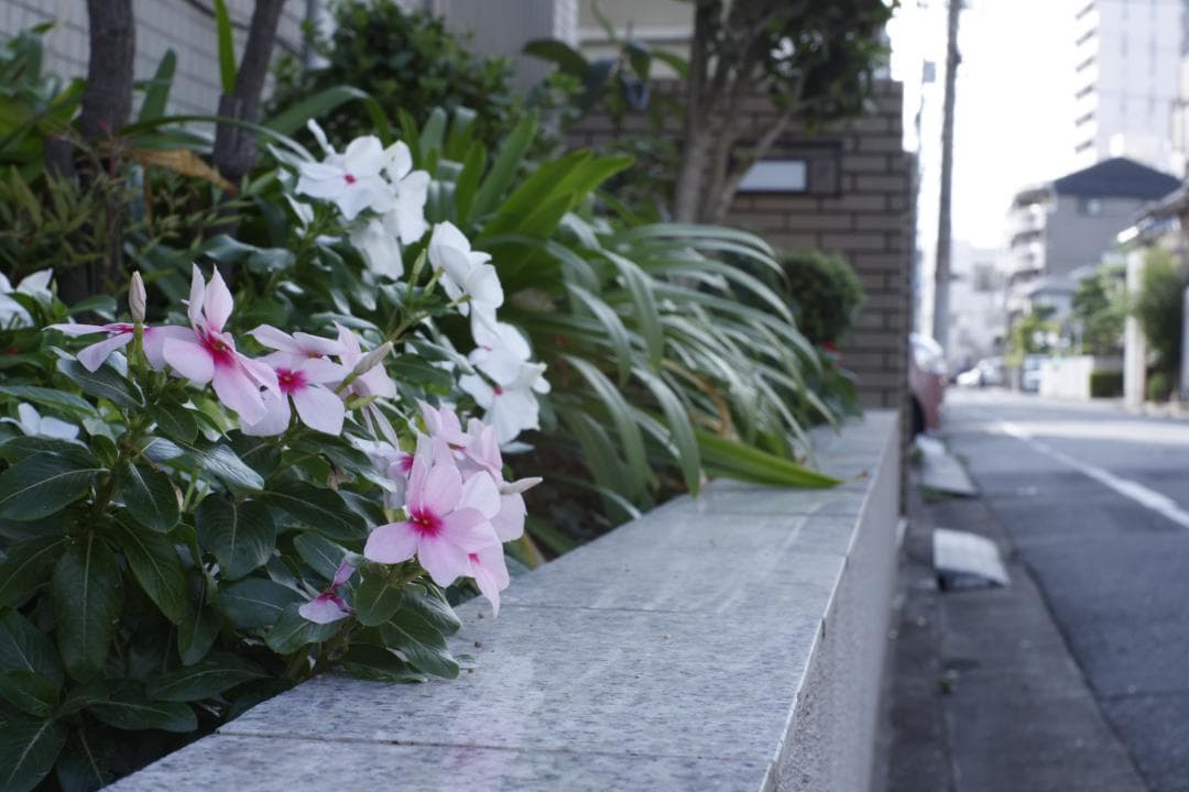 FD55mm F1.2 S.S.C. アスフェリカル