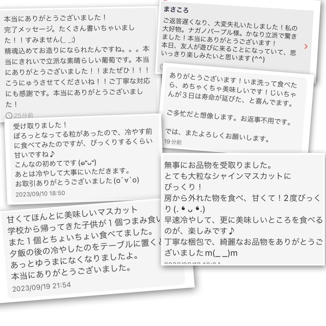 大人気⭐︎シャインマスカット　4キロ　4kg