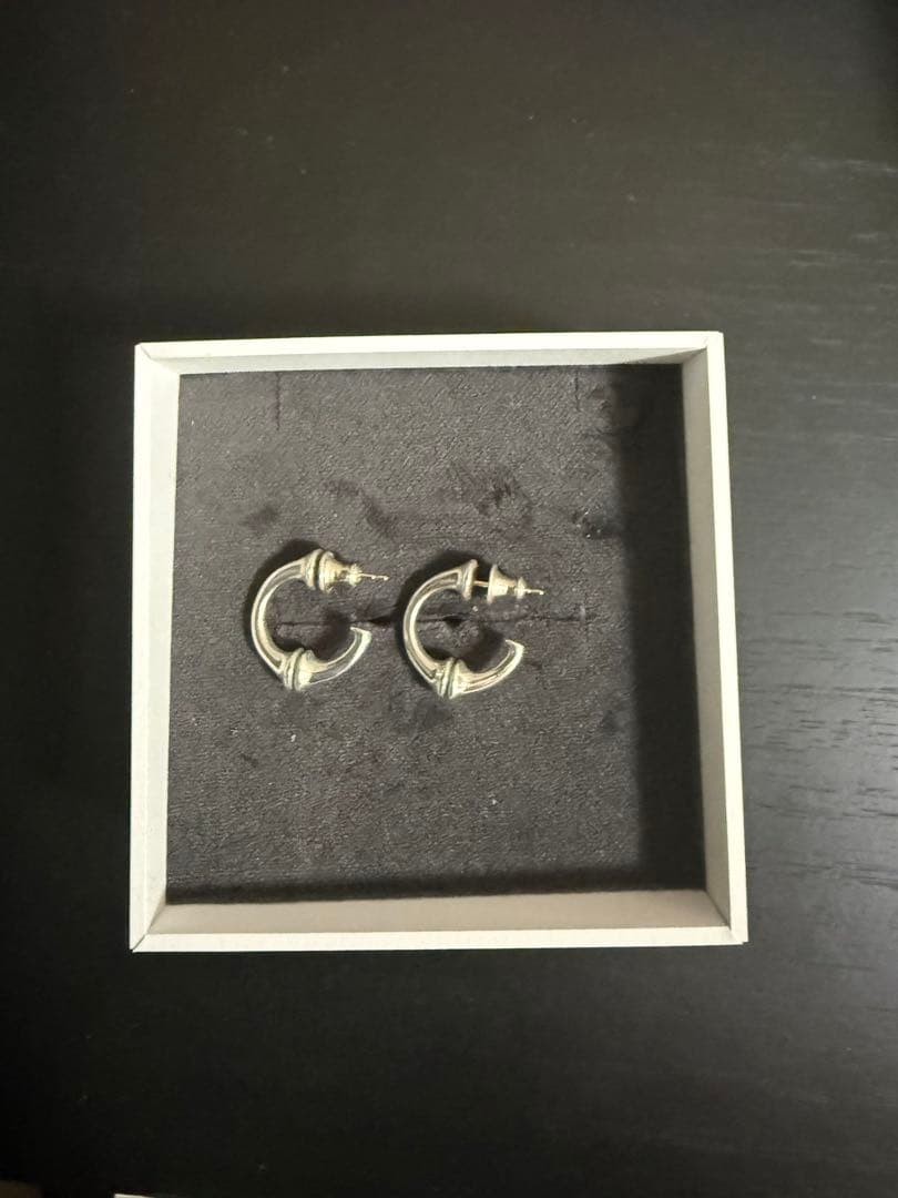 here‘s SPINAL COLUMN FOOP PIERCE 501