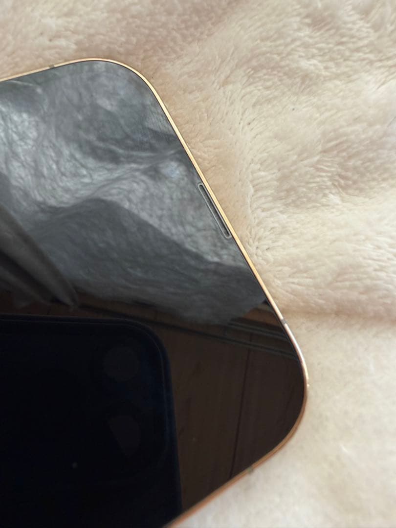 Apple iPhone 13 Pro Max 1TB ゴールド 本体