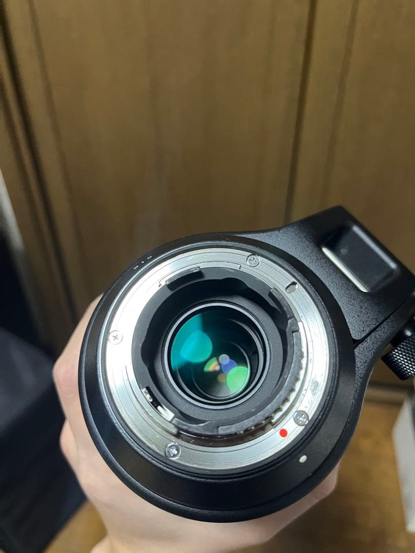 SIGMA 150-600mm F5-6.3 DG ニコンF Nikon