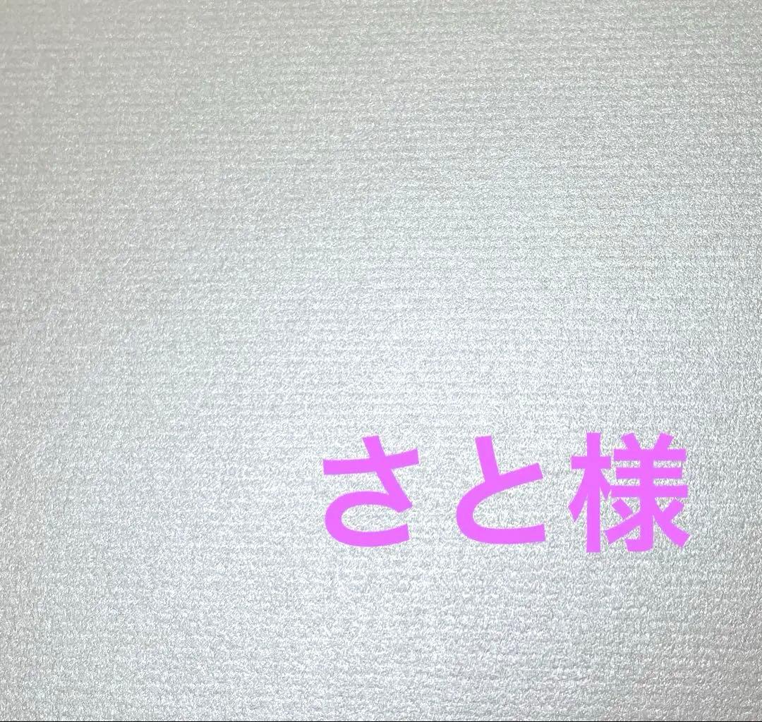 さと様　コンプレックスビズ　新品　クリップ二つ