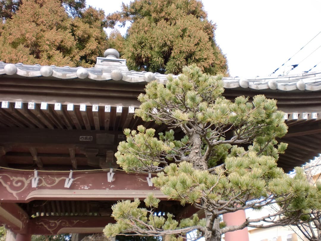 実写美⭕️【動作確認済み】CASIO EXILIM EX-Z90