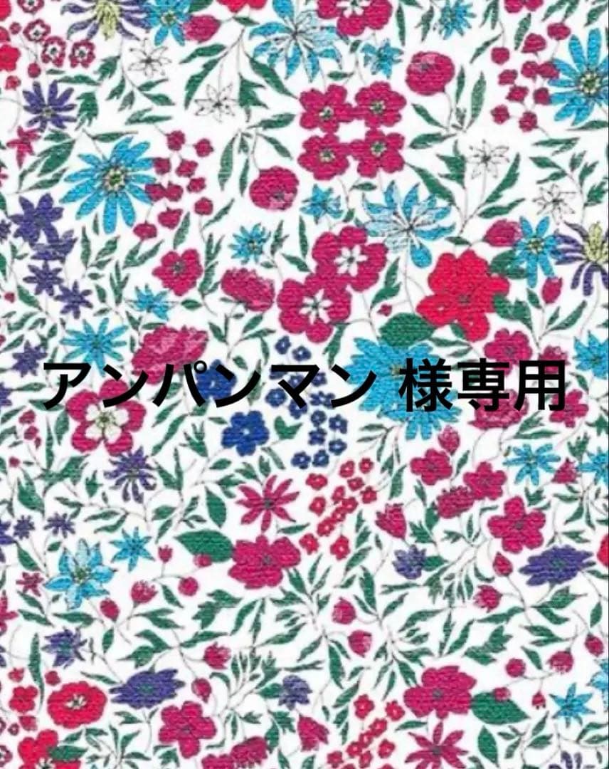 アンパンマン 　サワーポメロ 鹿児島産　箱込み9.3㎏　無農薬　農薬不使用