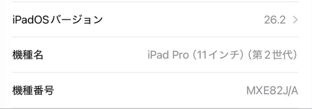 iPadPro 11インチ第2世代[1TB]+Apple Pencil