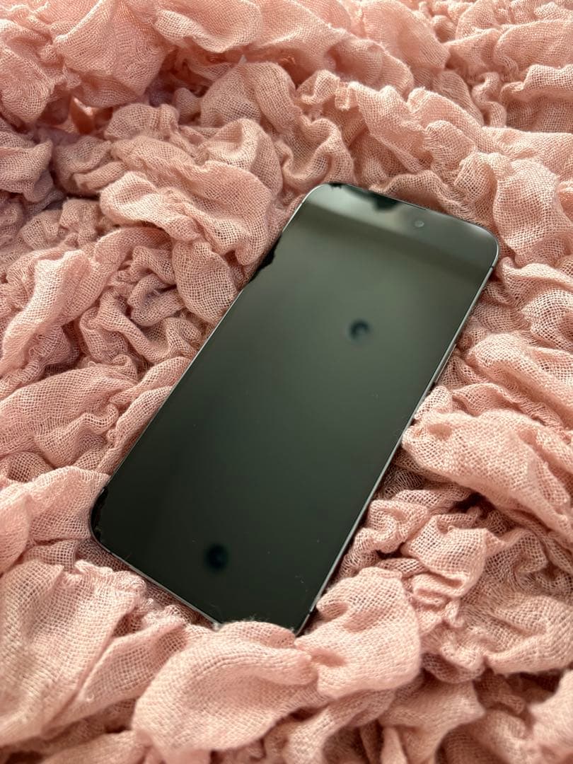 iPhone 14 Pro Max 128GB 水没 ジャンク品