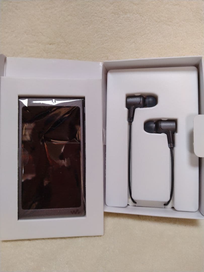 断捨離中　SONY ミュージックプレーヤー　NW-A45hN