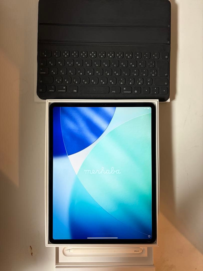 iPad Pro Wi-Fi 256GB Apple Pencil第2世代