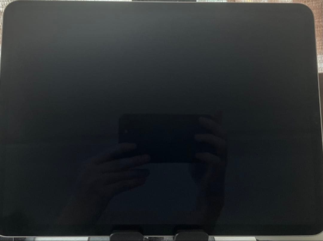 Apple iPad Pro 11インチ 第4世代 128GB