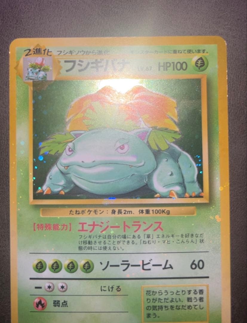 ポケモンカード フシギバナ 旧裏 全面ホロ 強