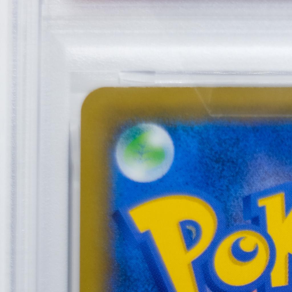 傘 エリカのおもてなし《PSA10》