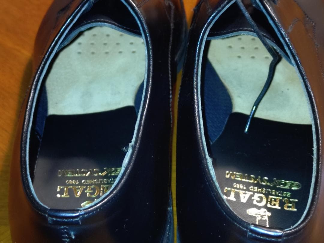 靴 REGAL GEOX W254 27EEE