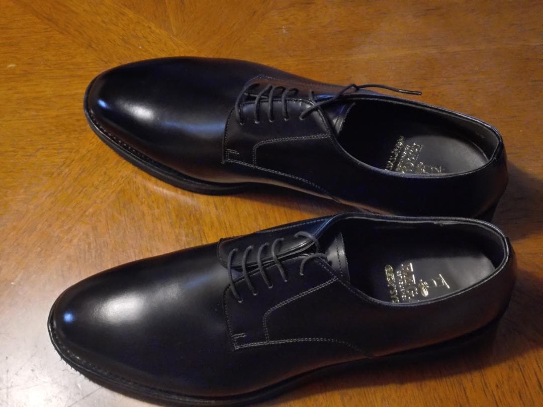 靴 REGAL GEOX W254 27EEE