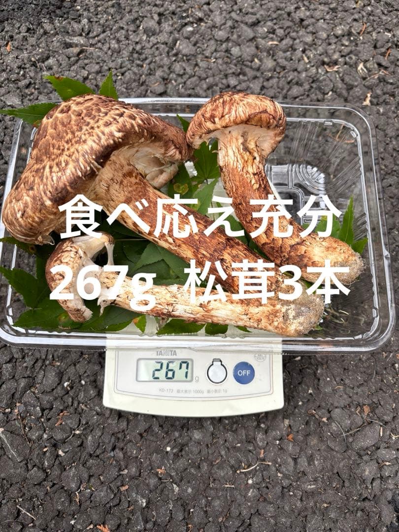 【お値打ち限定1点】岩手雫石町産 天然 多少の開き、香り良い松茸 3本 267g