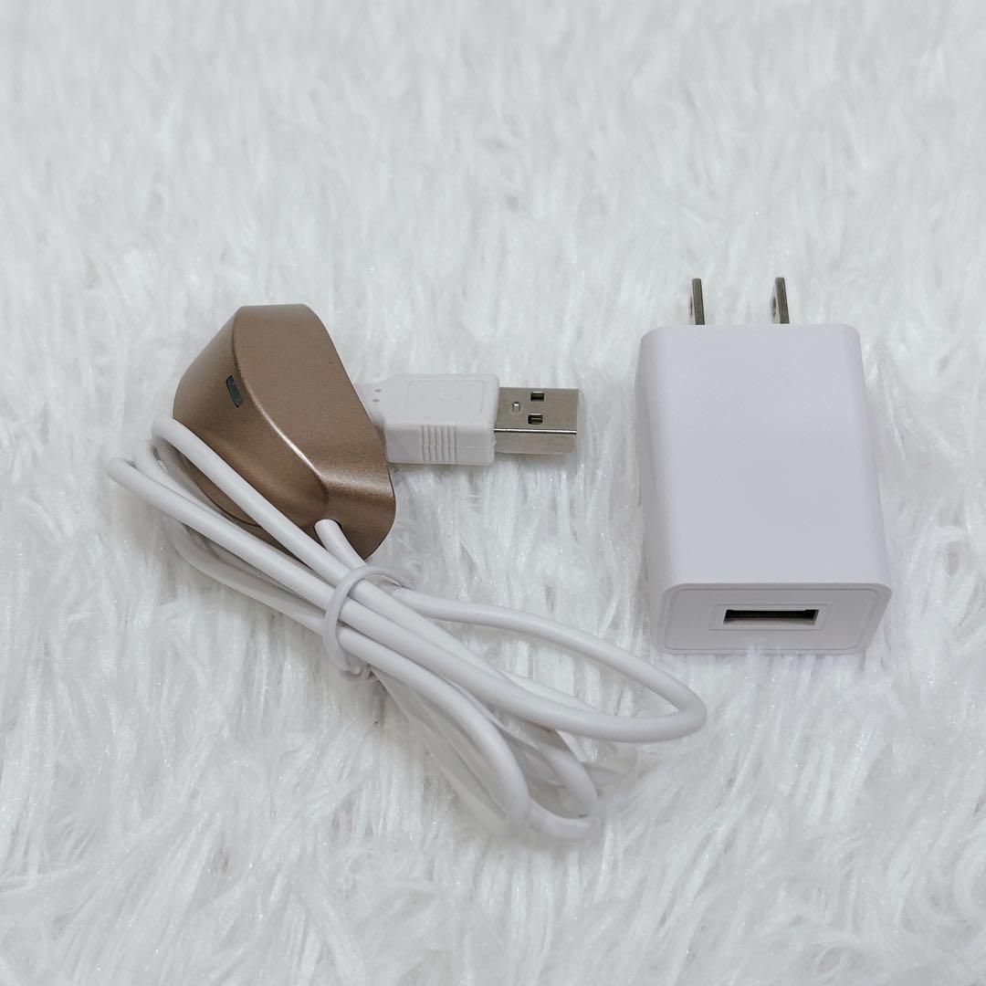 【未使用級】IKKOプロデュース MEラボンエクラ 美顔器