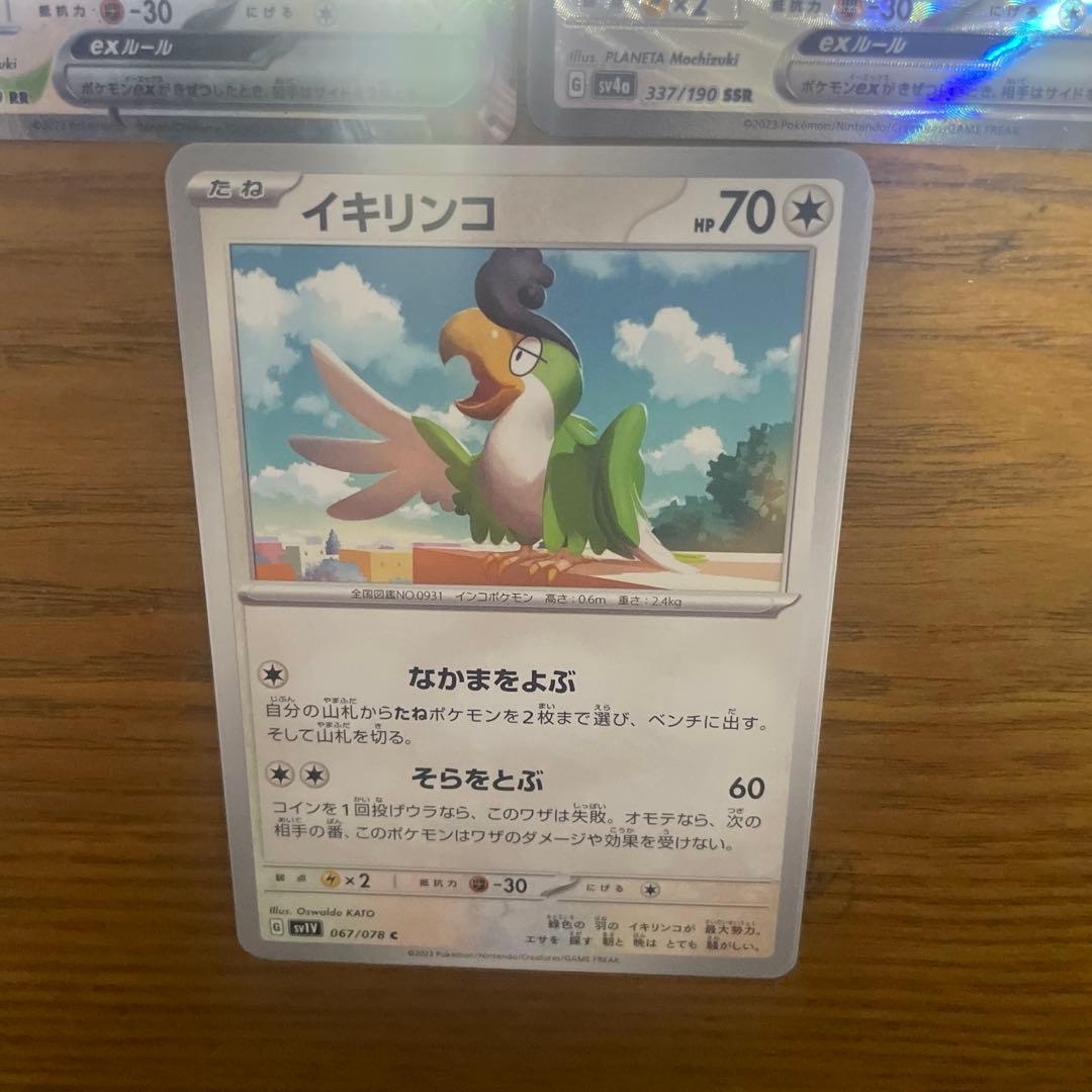 イキリンコ系列　バラ売り可能