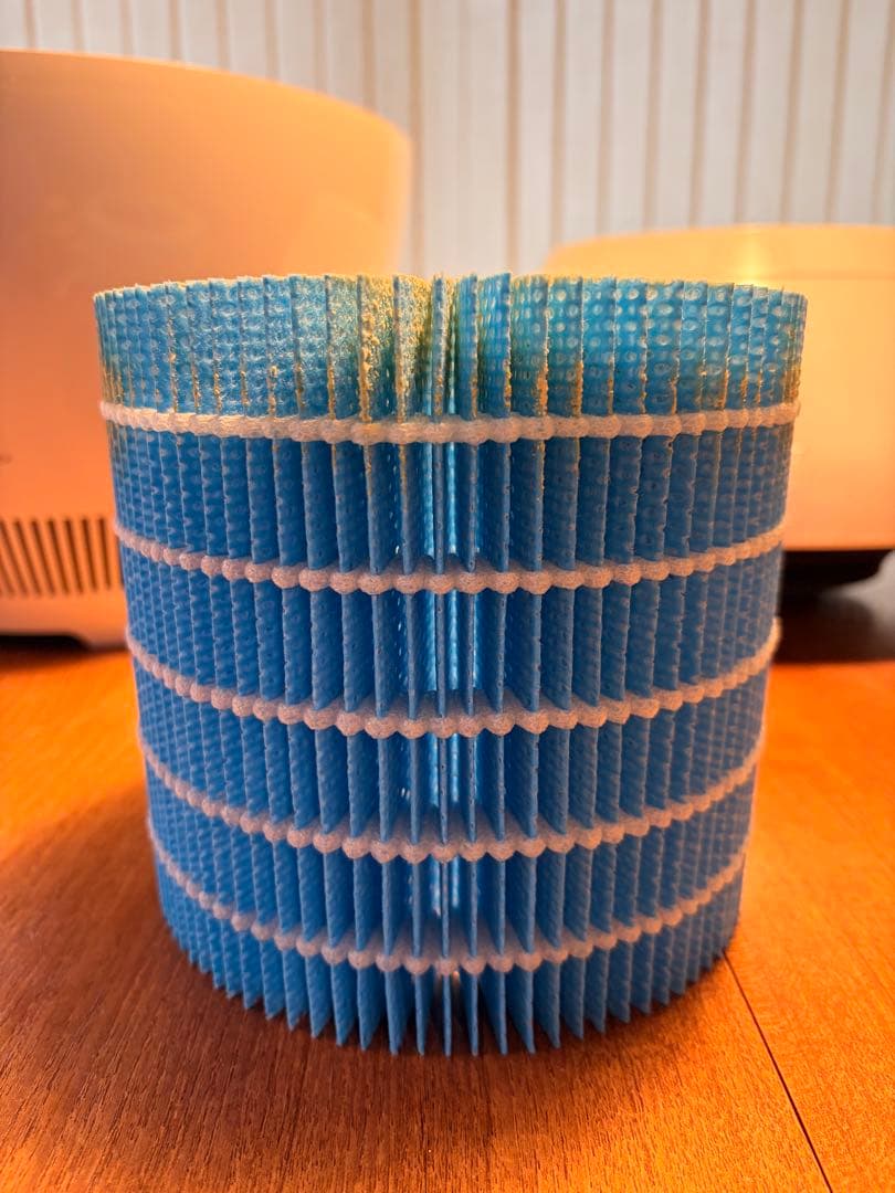 バルミューダ 加湿器 Rain ERN-1100SD-WK 2022年製　美品