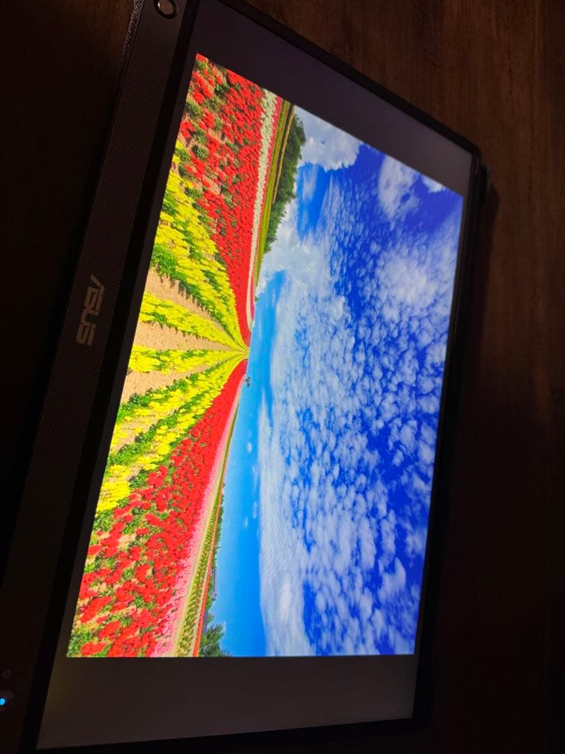 ASUS ポータブルモニター MB16AH 本体 ケース　ケーブルおまけ