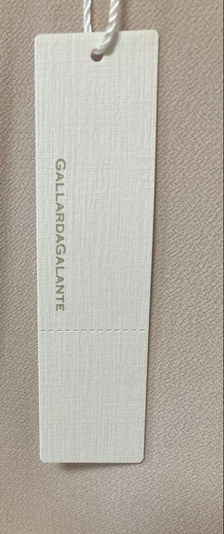 【新品・未使用】GALLARDAGALANTEバックスリットブラウス Tee