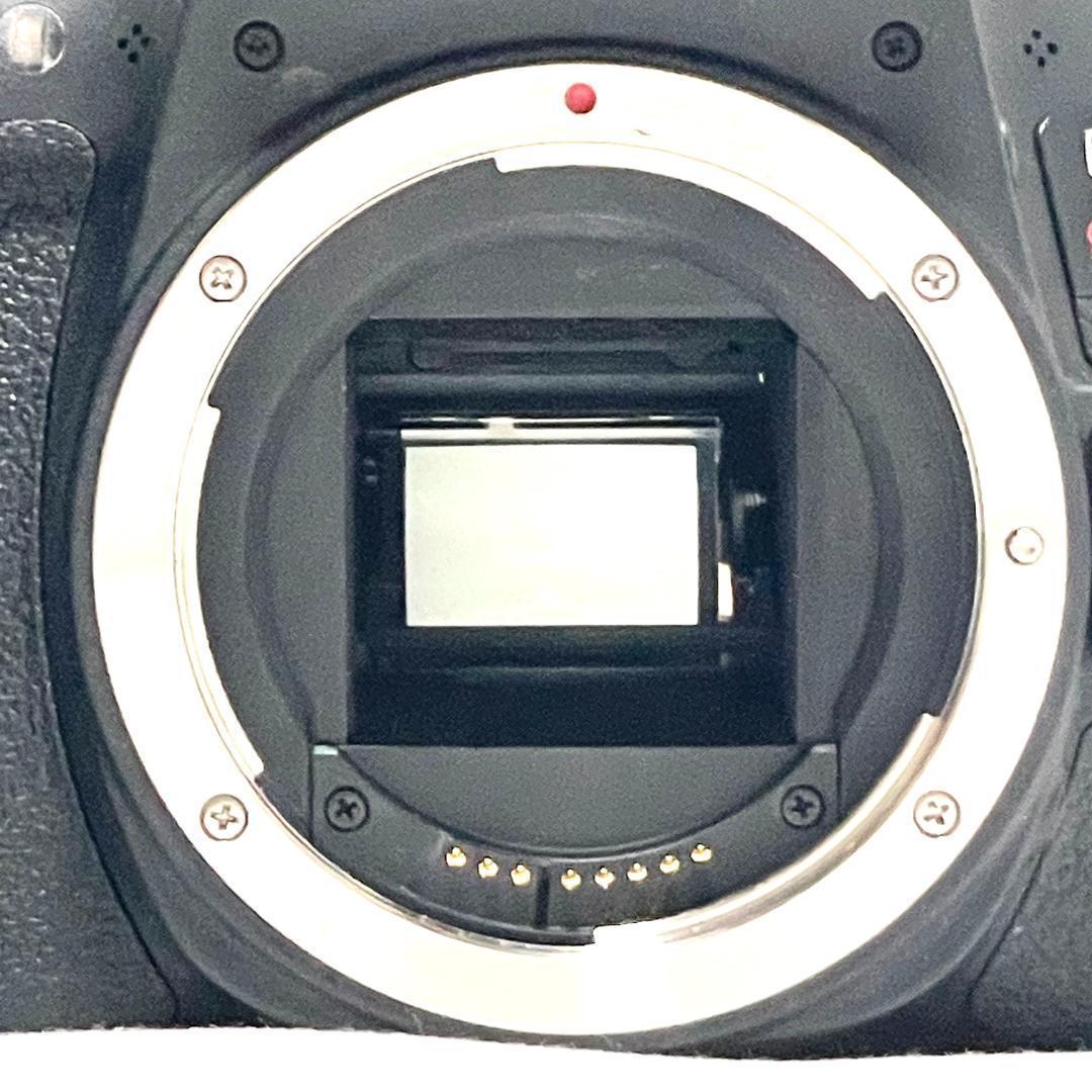 動く被写体を捉える❣️ Canon EOS Kiss X8i Wズームレンズ