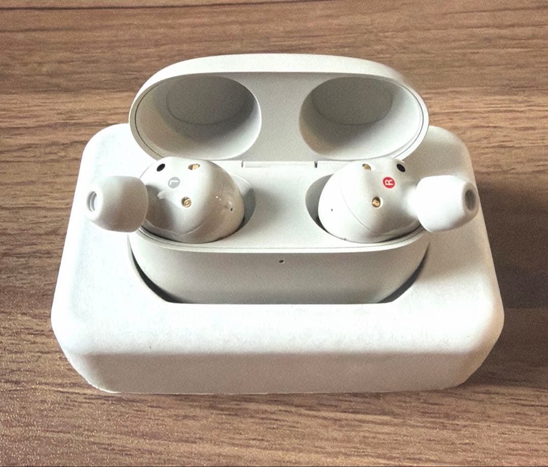 （SONY） WF-1000XM5