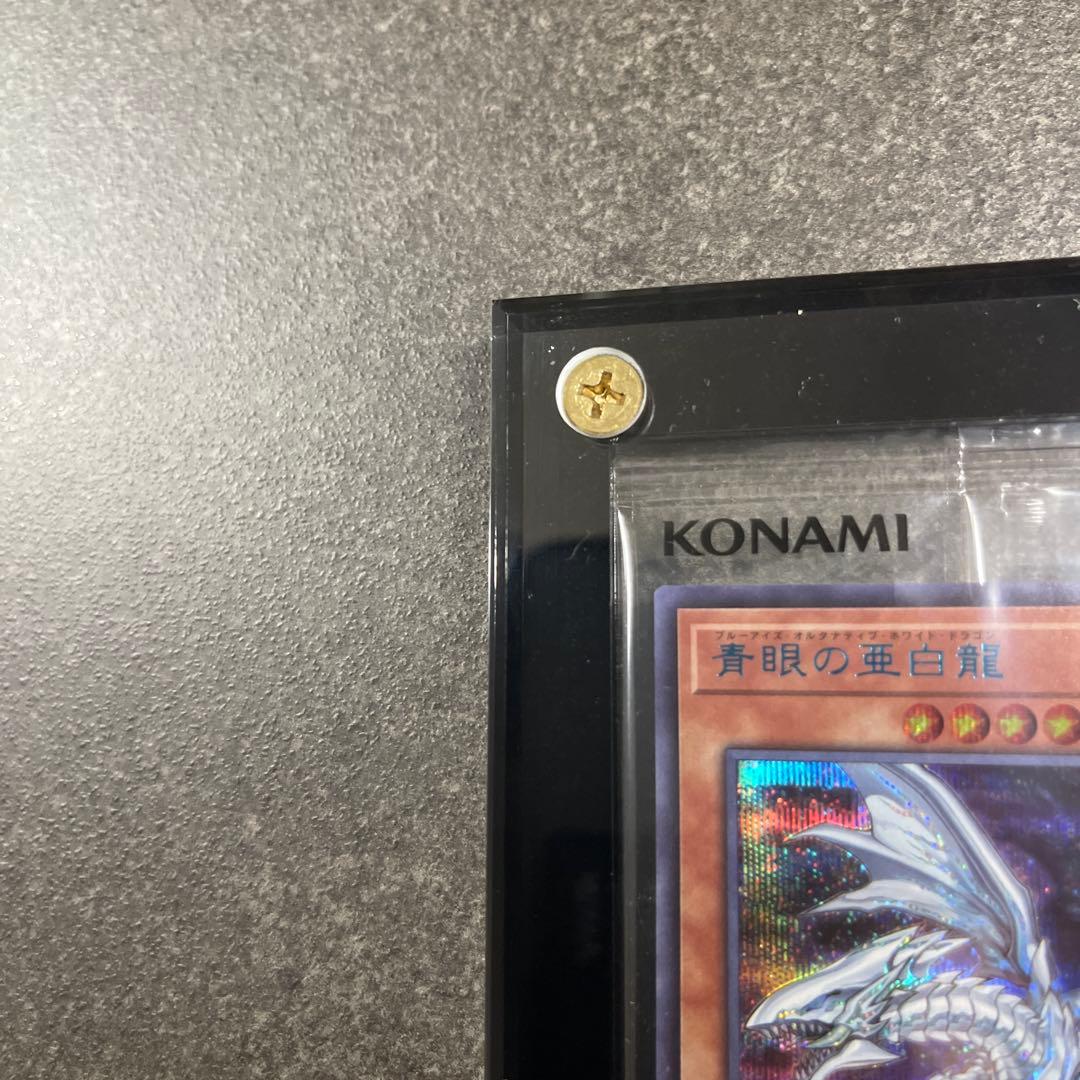 青眼の亜白龍 シークレットSPECIAL BLUE Ver. ブルーシークレット