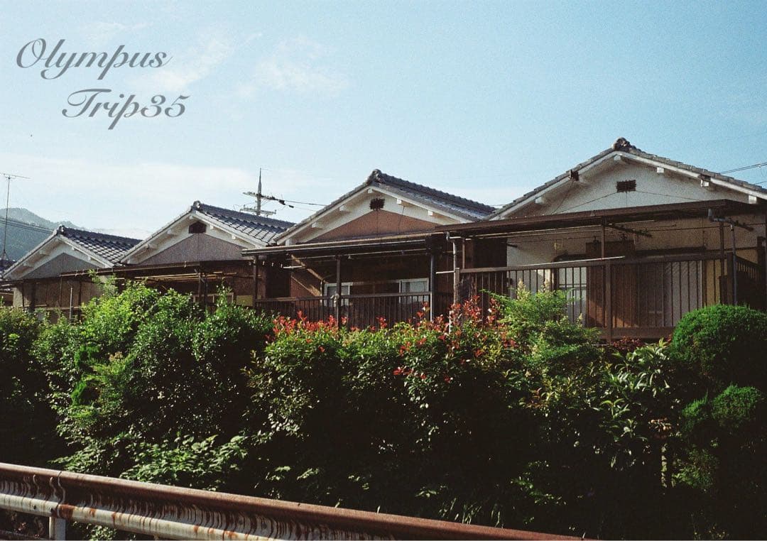 オリンパス trip35 ブラック★作例多数★完動品・美品・整備品