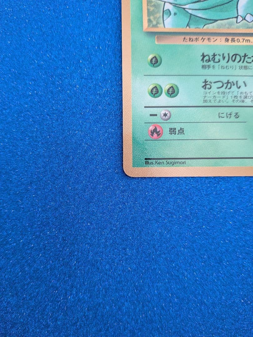 フシギダネ HP50 レベル15 ポケモンカード　旧裏　マークなし　反あり