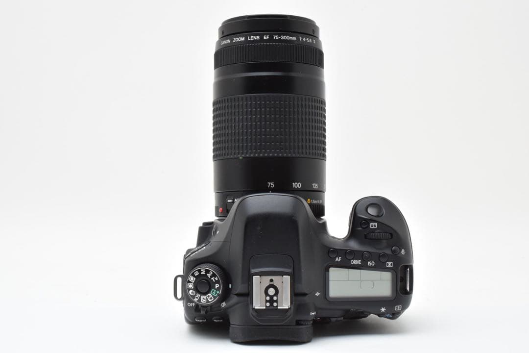 一眼レフカメラCanon EOS 80D望遠レンズセット/EF75-300mm