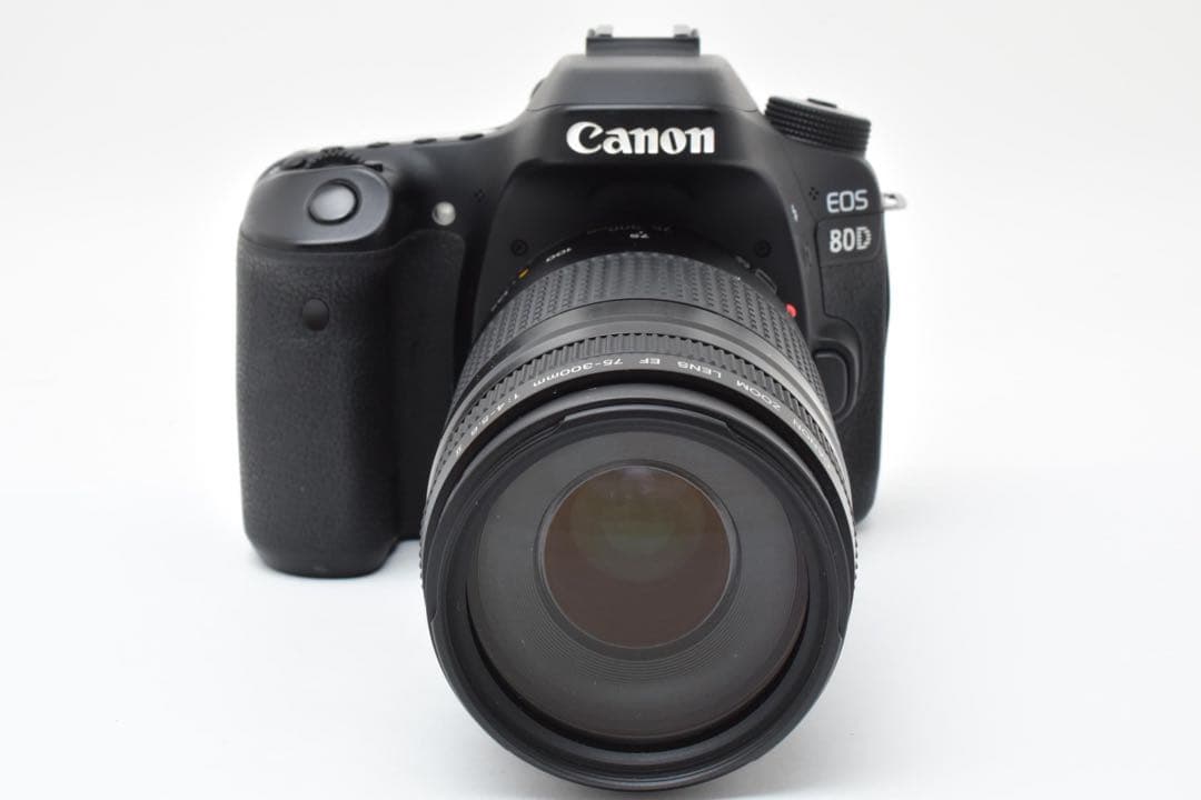 一眼レフカメラCanon EOS 80D望遠レンズセット/EF75-300mm