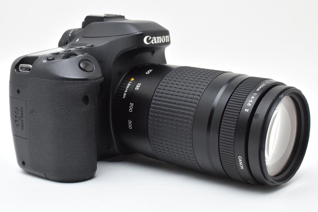 一眼レフカメラCanon EOS 80D望遠レンズセット/EF75-300mm