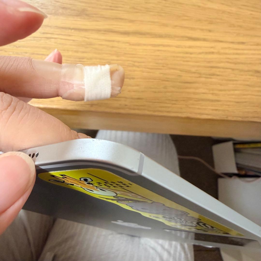 iPad Pro11 第1世代 256G cellular 11inch