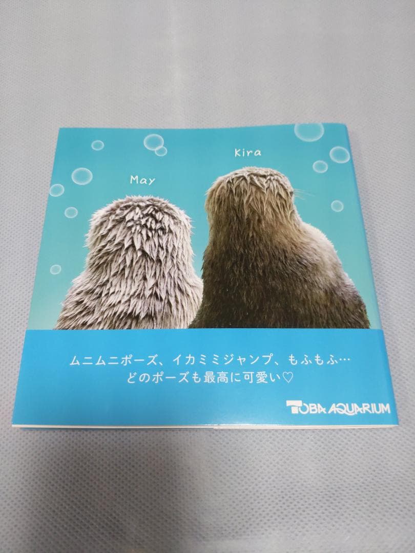 鳥羽水族館　ラッコのメイとキラ　写真集