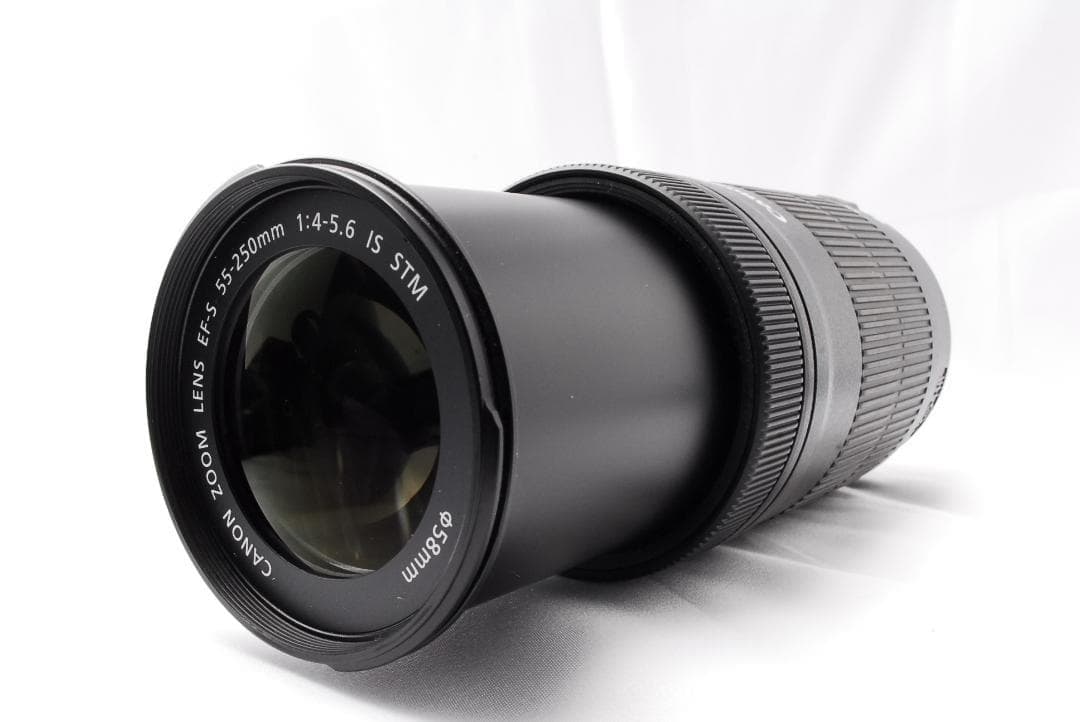 人気のレンズ⭐キャノン⭐EF-S 55-250mm IS STM⭐望遠レンズ