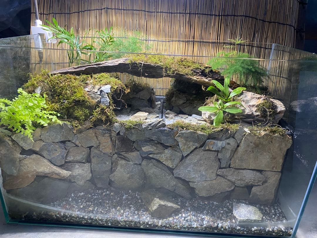 Yokohama19　オールガラス60サイズ