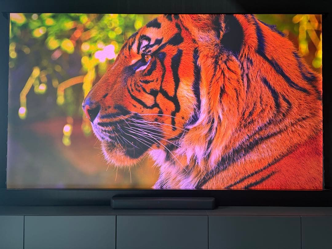 VIVIDSTORMスクリーン110インチ 環境光弱化（alr） 長焦点