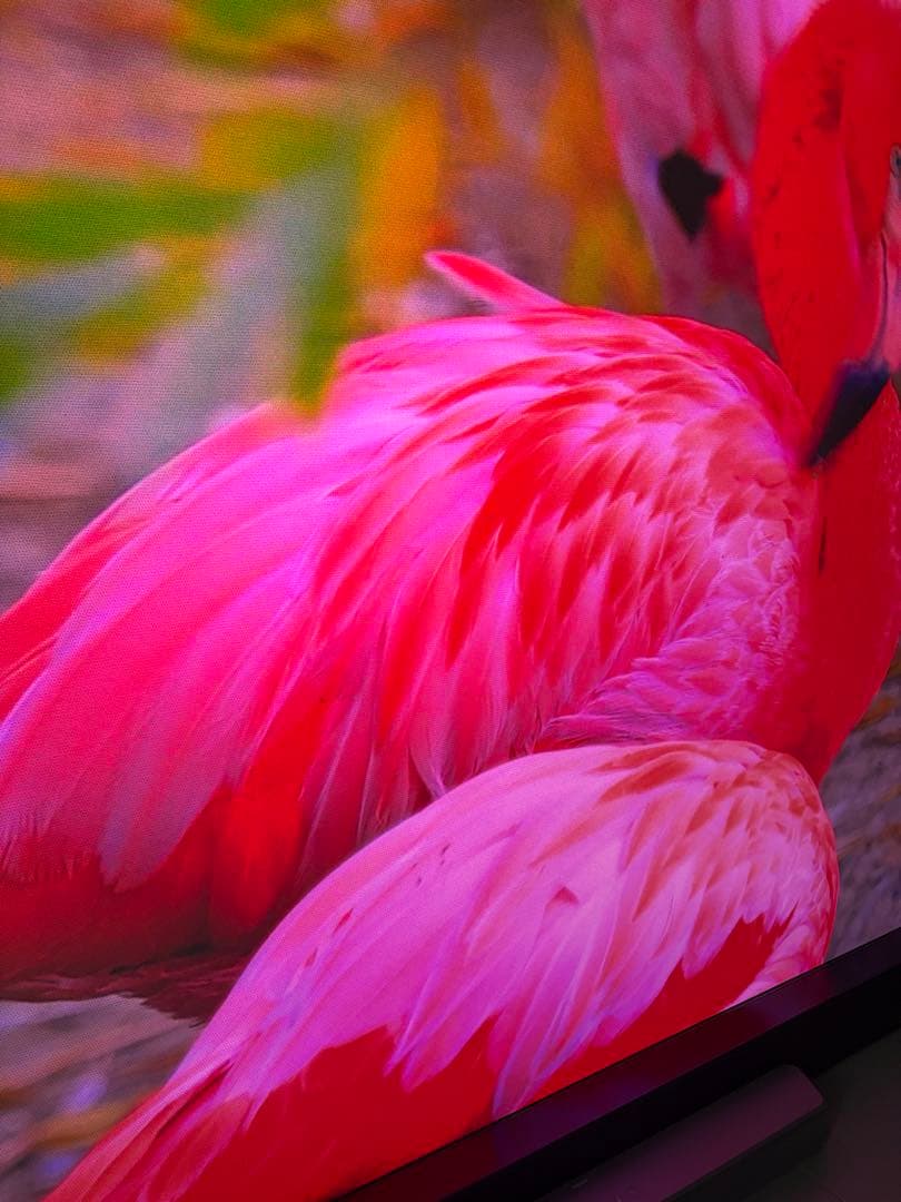 VIVIDSTORMスクリーン110インチ 環境光弱化（alr） 長焦点