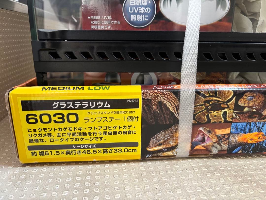 GEX EXOTERRA フトアゴヒゲトカゲ&リクガメ飼育キット送料込