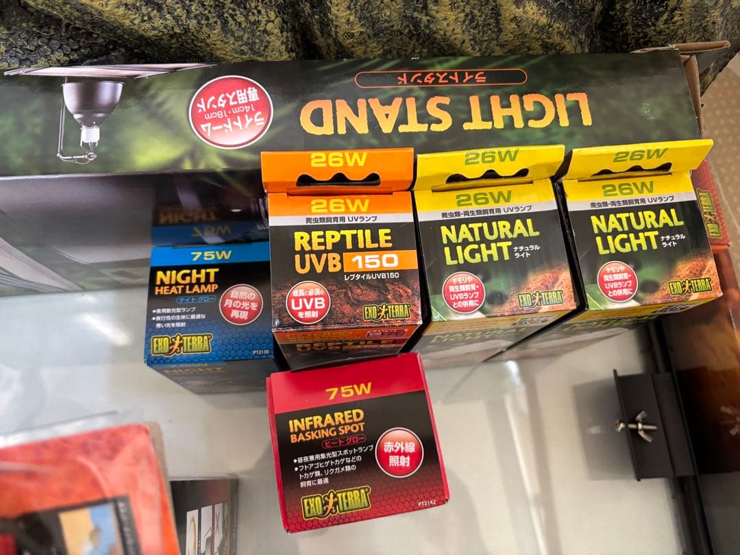 GEX EXOTERRA フトアゴヒゲトカゲ&リクガメ飼育キット送料込