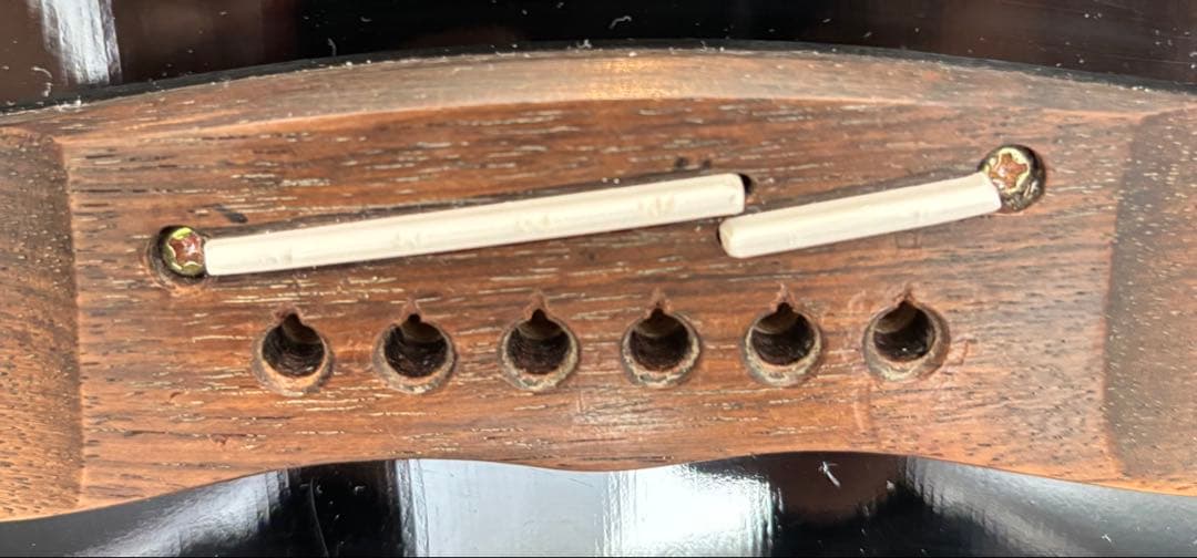 タカミネ　エレアコ　PT106