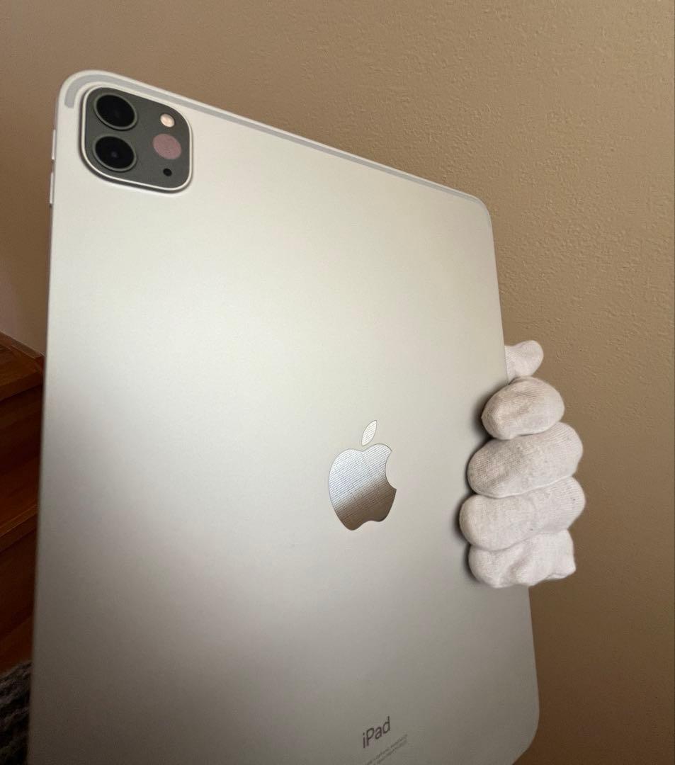 iPadPro 11インチ 256GB WiFiモデル　第2世代