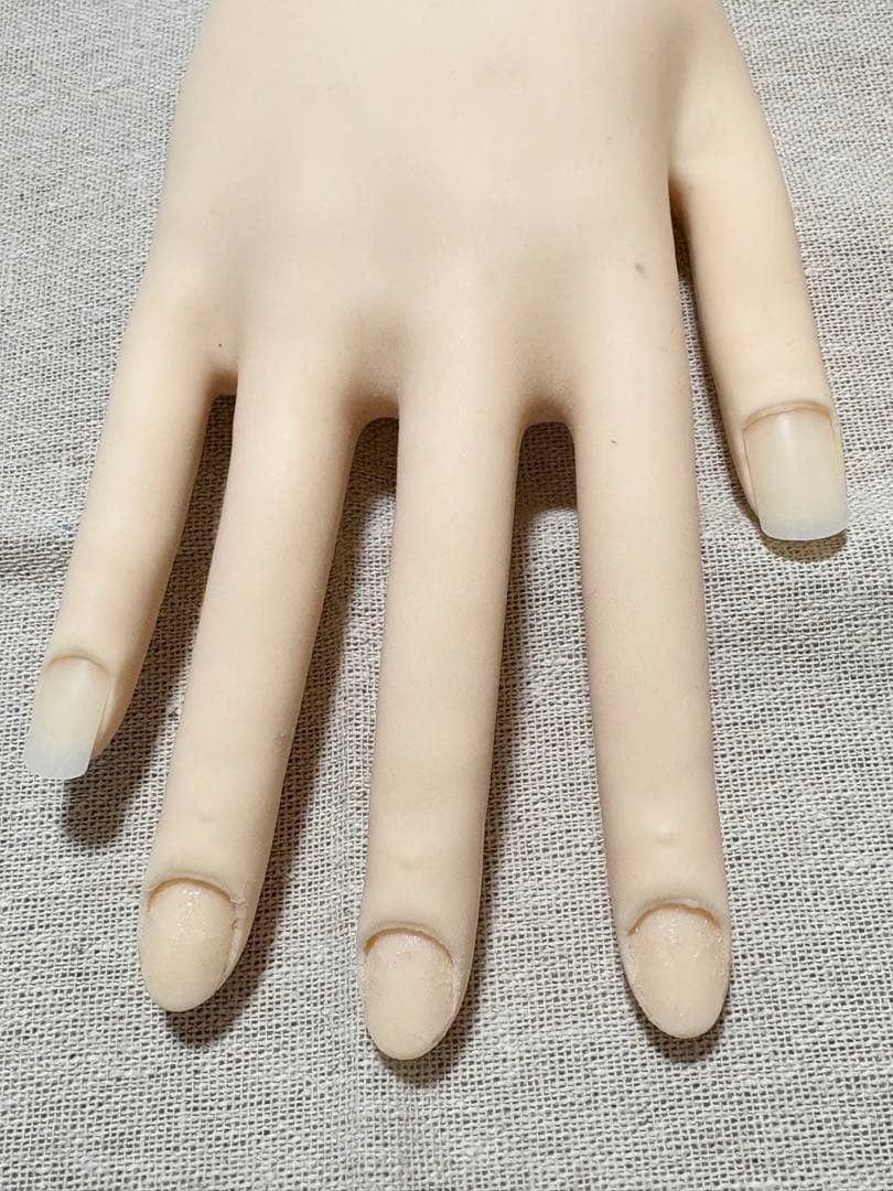 JNEC認定モデルハンド　チップ付き