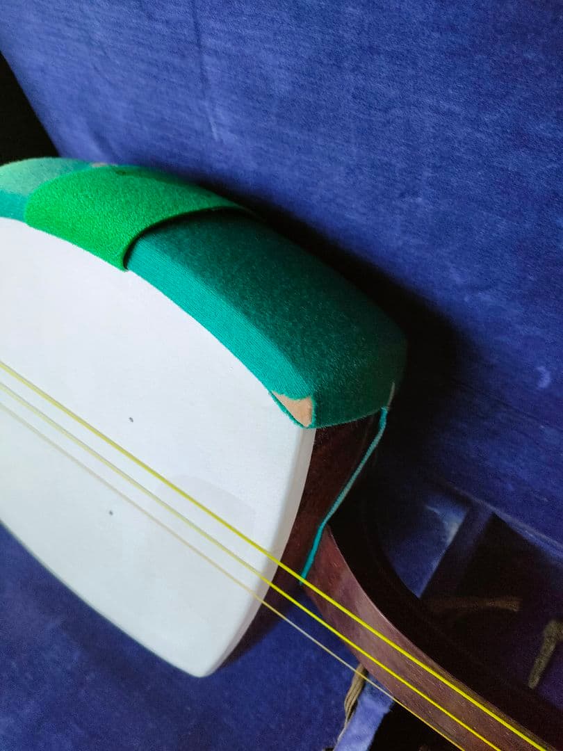 三味線 本体 3弦 ハードケース付き