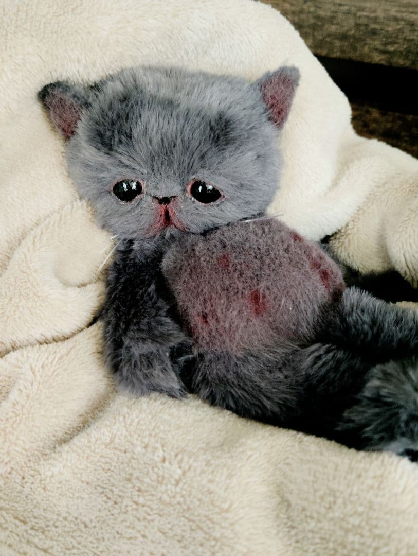 もち様オーダー❤子猫の黒豆ちゃん♡アートドール♡ぬいぐるみ♡