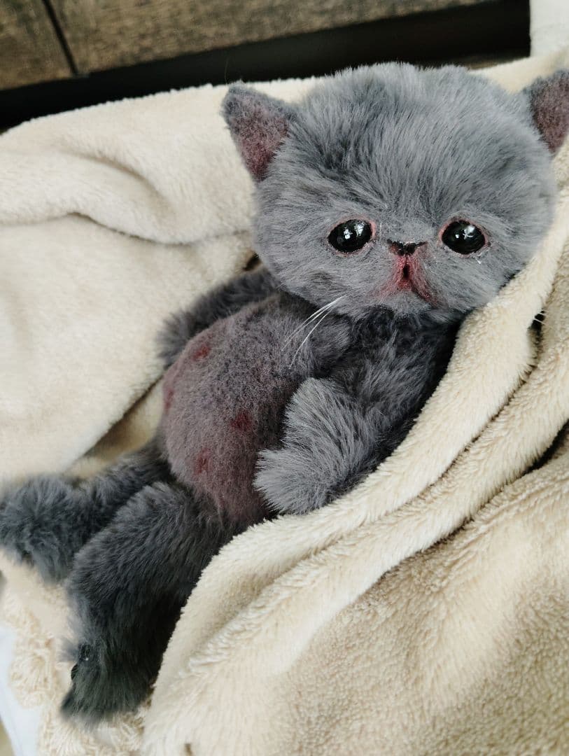 もち様オーダー❤子猫の黒豆ちゃん♡アートドール♡ぬいぐるみ♡