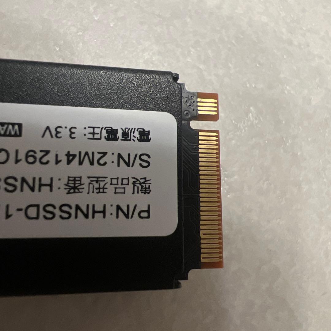 PS5対応 M.2 拡張SSD ヒートシンク搭載1TB型番:HNSSD-1P5