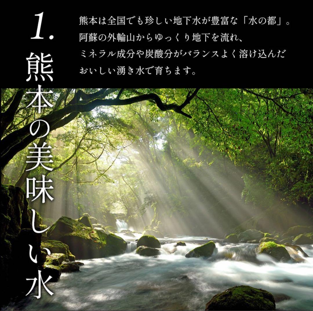 ミニトマト　15キロ　野菜　熊本　おやつ　弁当　おかず　ミネラル　リコピン
