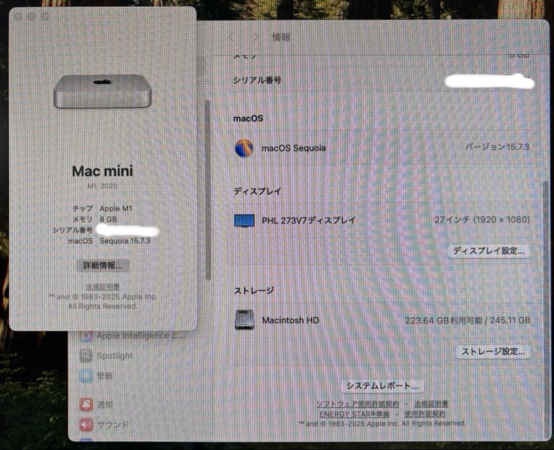 Macデスクトップ Apple M1 Mac mini 8GB 256GB